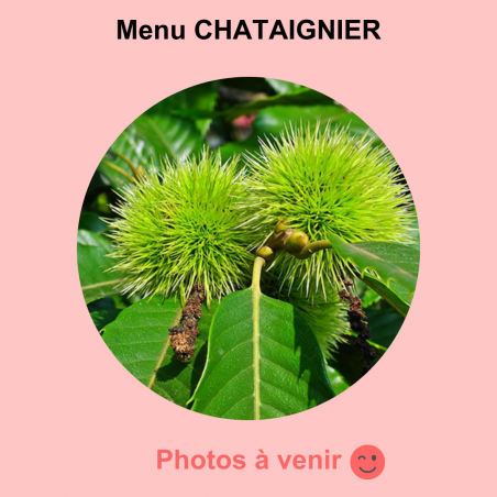 Menu CHÂTAIGNIER